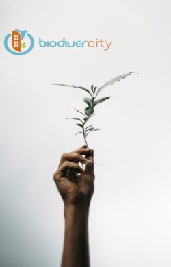 ALTEMIS est assesseur accrédité BIODIVERCITY